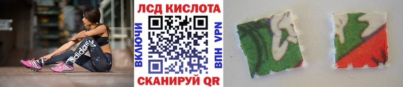 купить наркоту  Жирновск  Марки NBOMe 1500мкг 